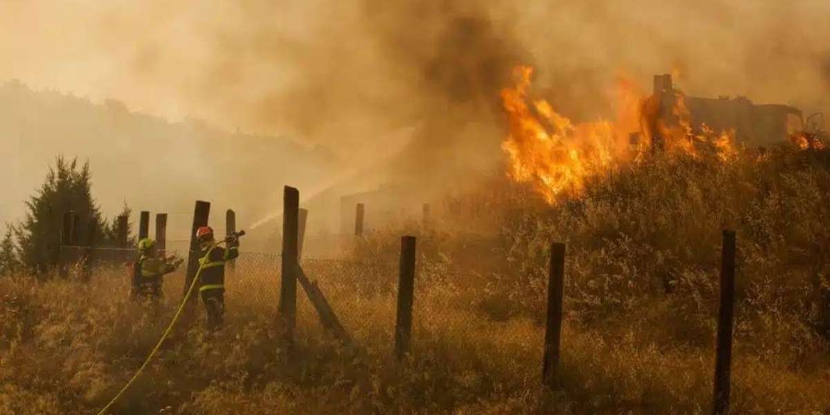 Spain Faces Heavy Losses After Devastating Wildfire Season