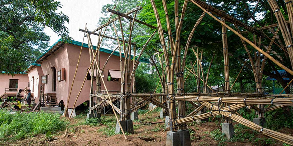 Nature Designed It to Bend: How Bamboo Buildings Are Changing the Future of Earthquake-Resistant Architecture