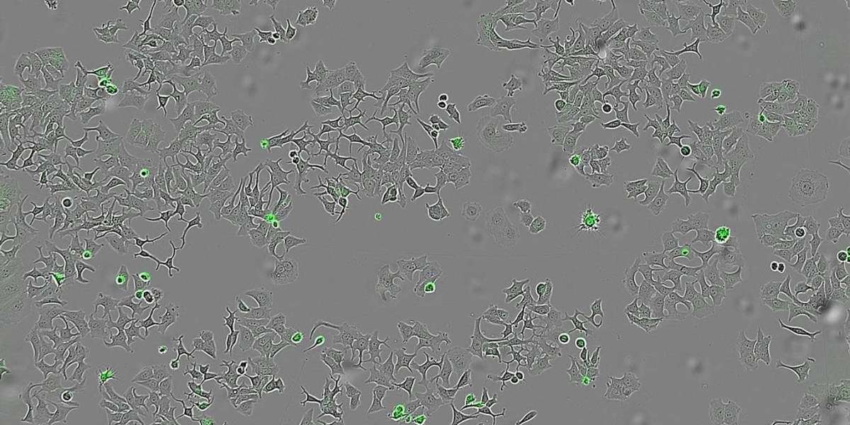 Bacterial Protein Found to Trigger Self-Destruction in Cancer Cells, Say Researchers