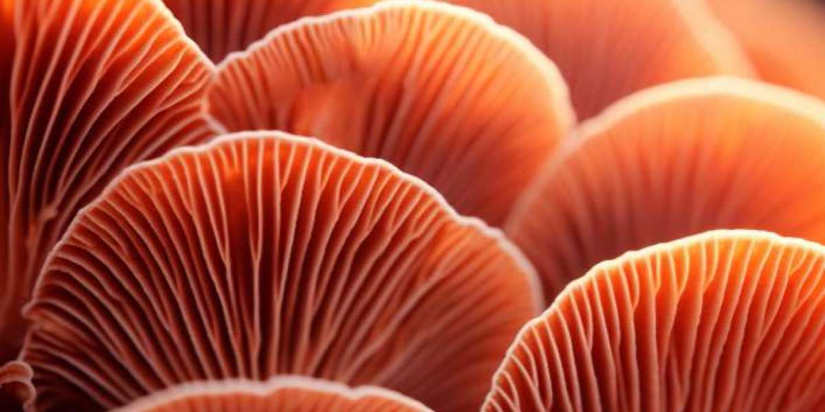 Fungi on Earth are actually "one billion years old."