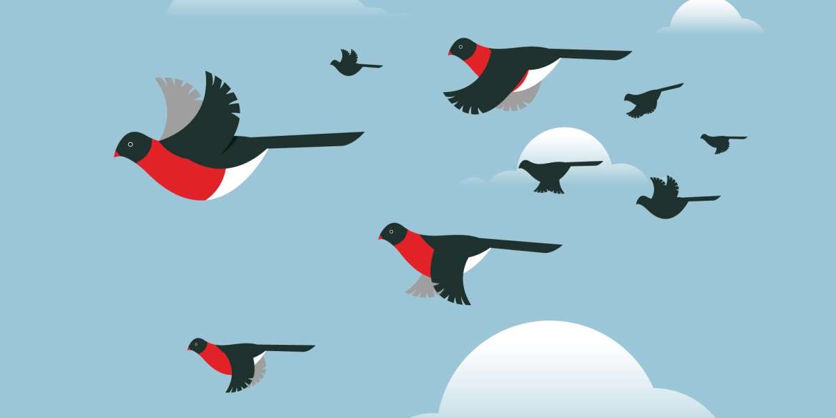 Why Birds Fly in a V Formation