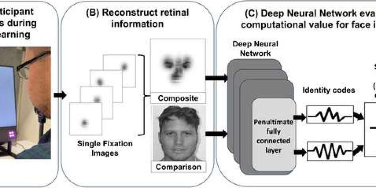 Super Recognizers: The Rare Individuals Who Never Forget a Face