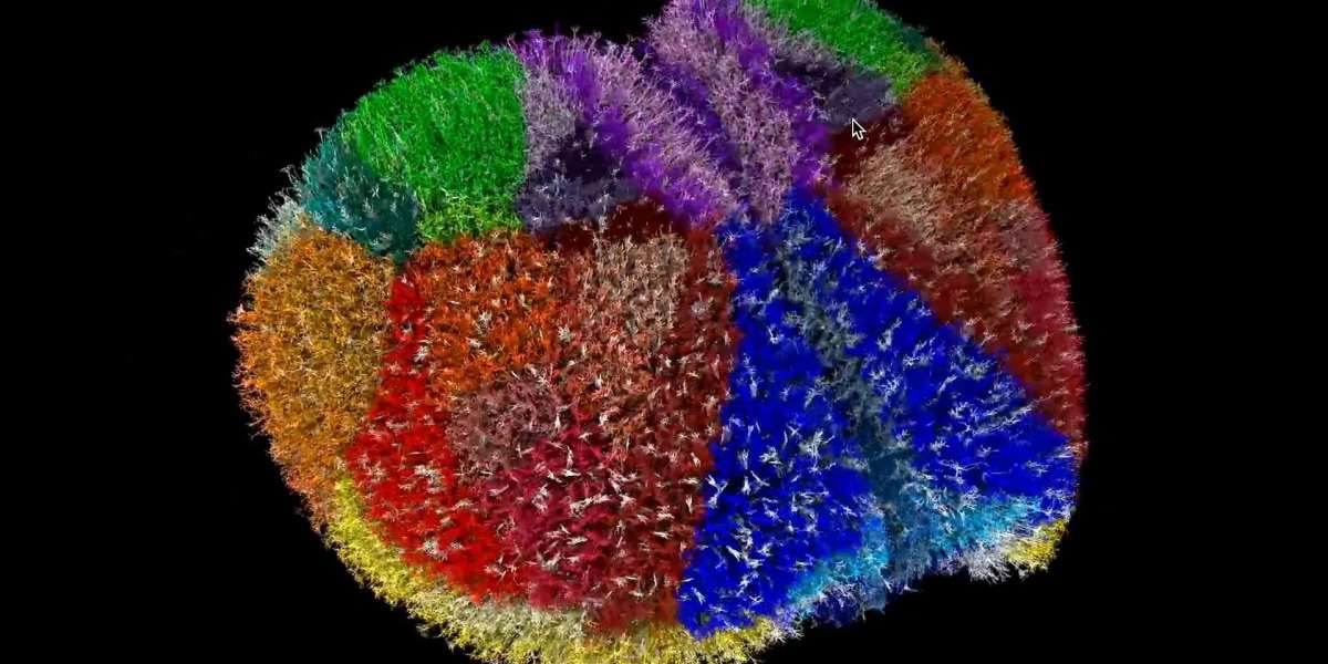 Japan’s Fugaku Supercomputer Powers the Most Realistic Virtual Brain Ever