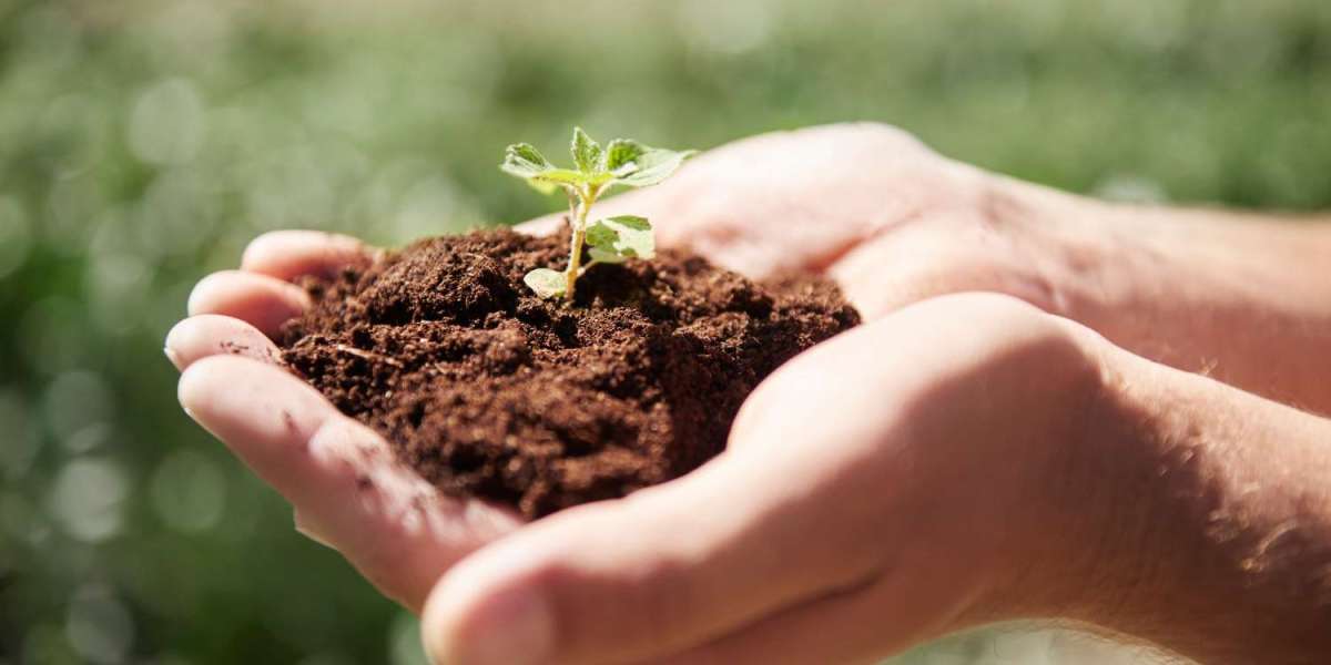 Soil: The Overlooked Key to Solving the Climate Crisis