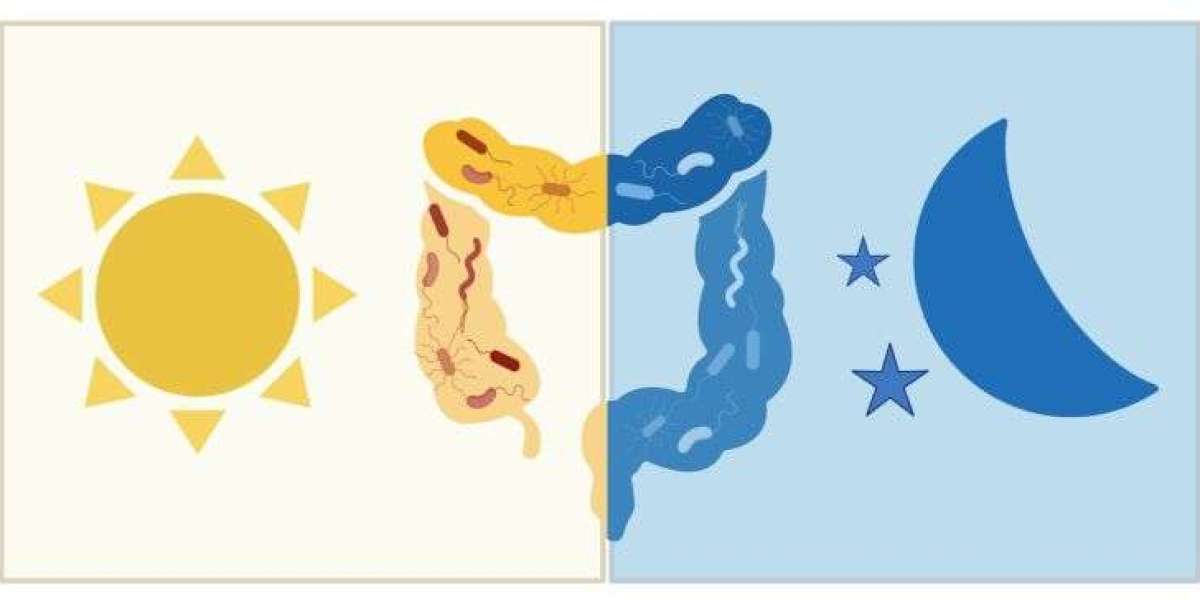 Good Sleep Starts in the Gut: The Surprising Role of Your Microbiome