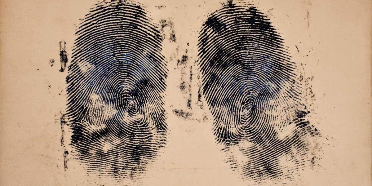 Are Our Fingerprints Truly Unique? Rethinking a Century-Old Belief