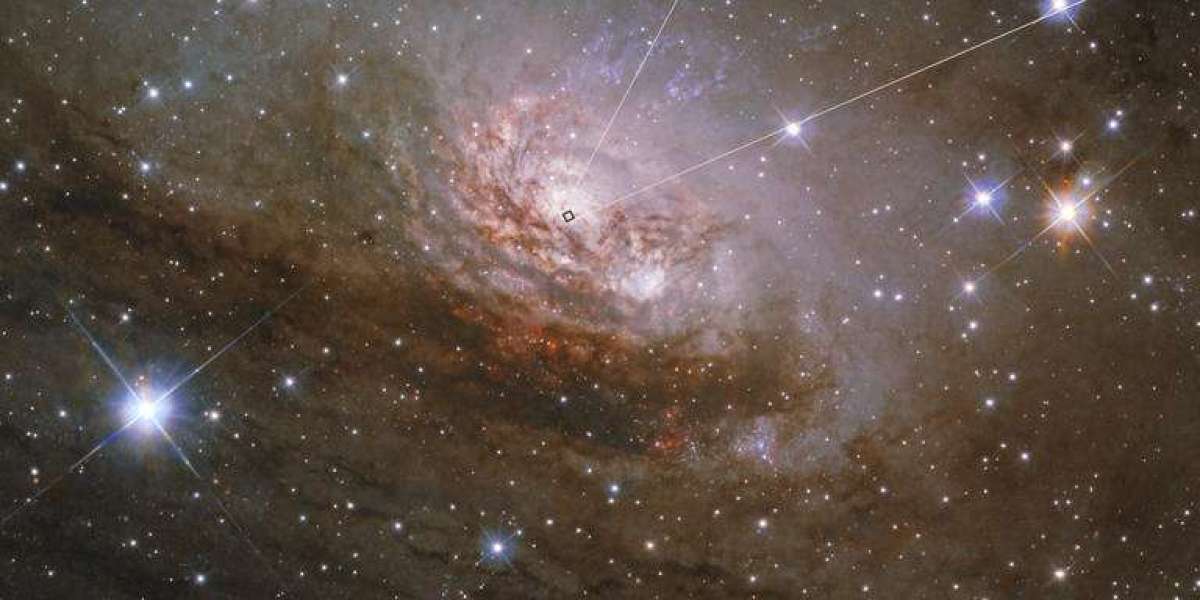 James Webb Telescope Reveals New Secrets of Black Holes: Inside the Circinus Galaxy Discovery