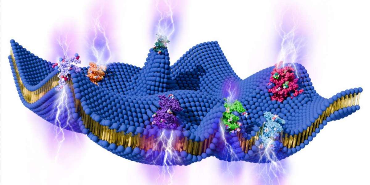 How Cell Membranes Might Generate Their Own Electricity: A Hidden Power Source in Our Cells