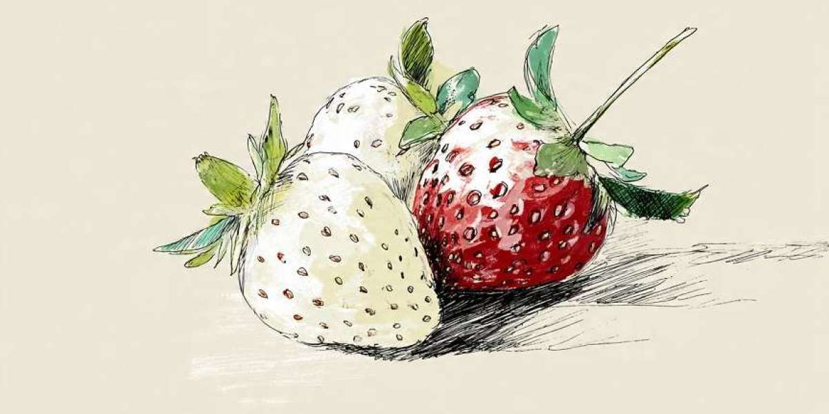 White Strawberries: Benefits, Varieties, Taste, Price, and Why They’re So Unique