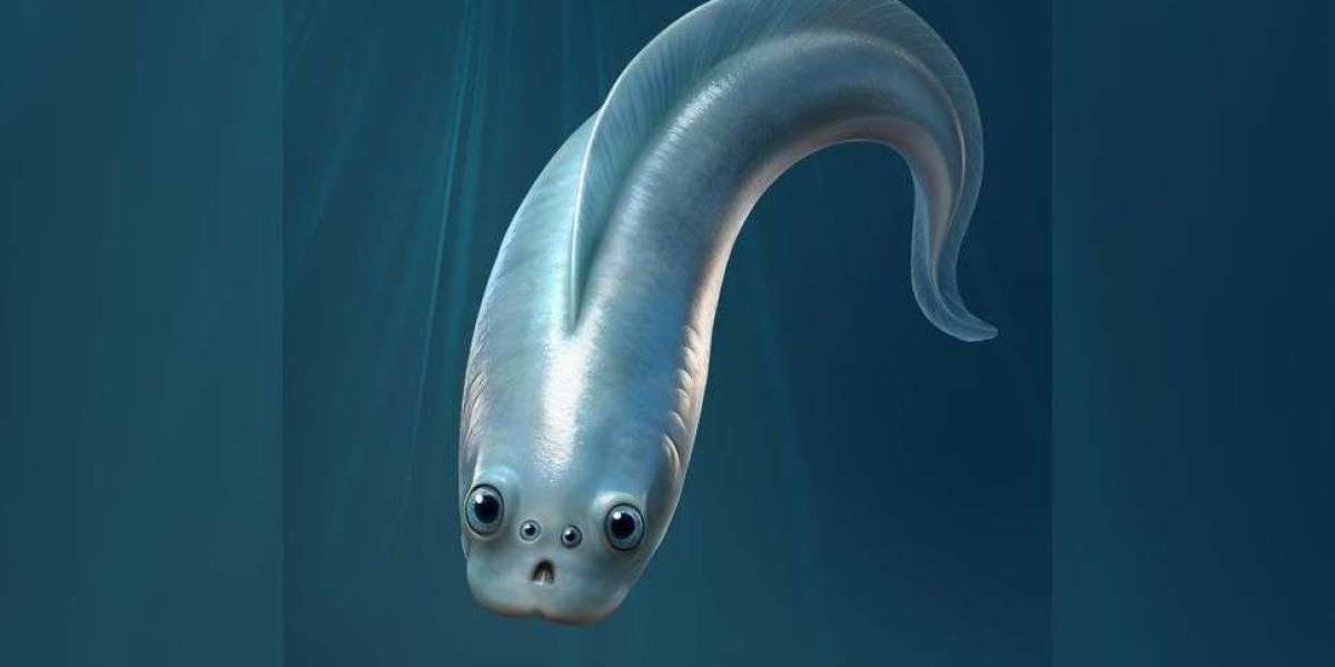 Half-Billion-Year-Old Fossils Reveal Our Four-Eyed, Noodle-Like Ancestor from the Cambrian Ocean