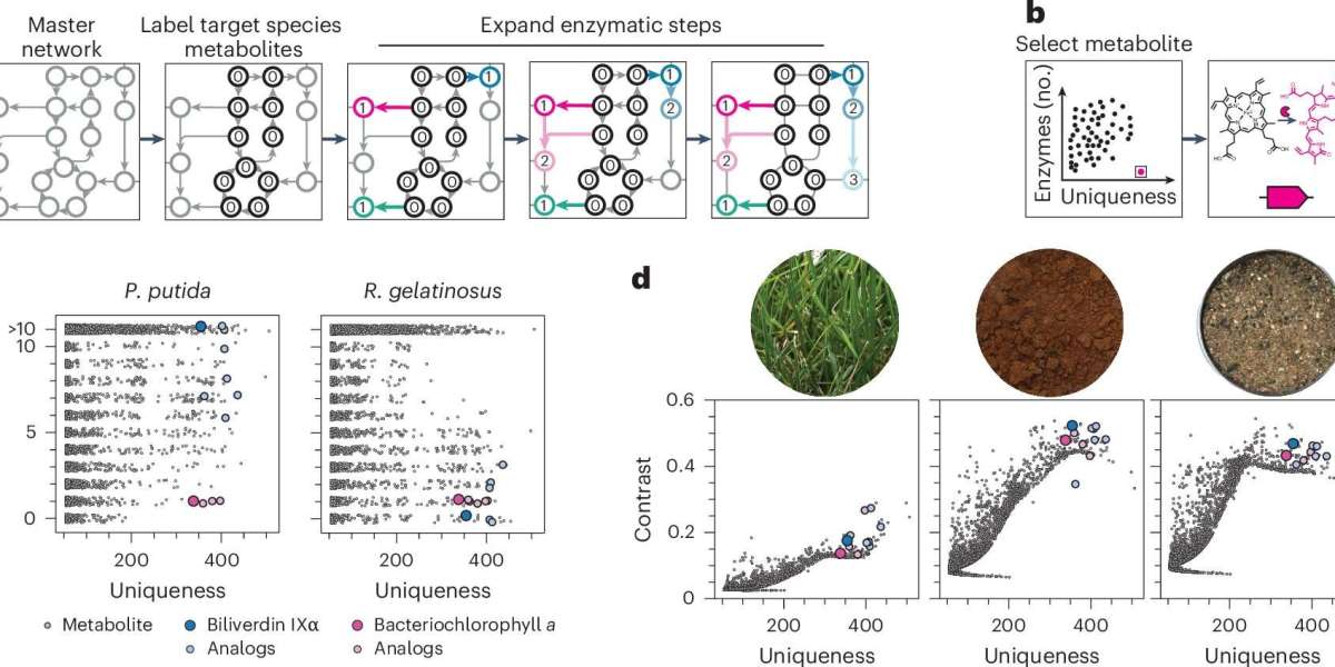 Engineered Bacteria Emit Hyperspectral Signals Detectable From 90 Meters Away — A New Frontier in Remote Biosensing
