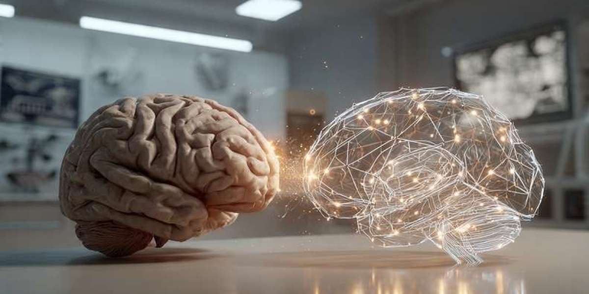 Researchers Uncover Striking Similarities Between Human and AI Learning Processes