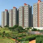 avadhoot shekhadar Profile Picture