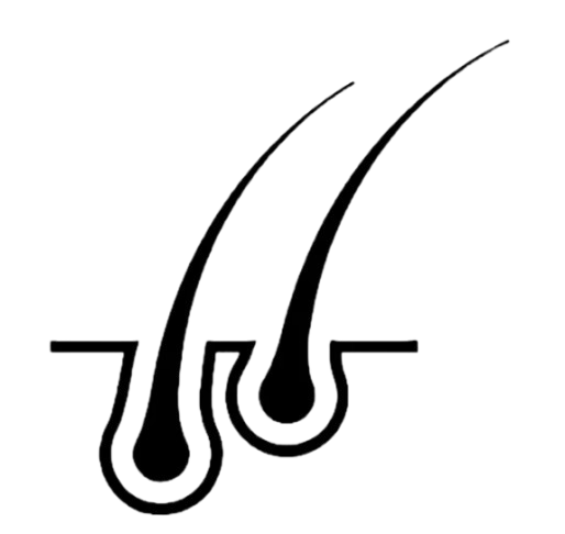 Home - The Hair Solution