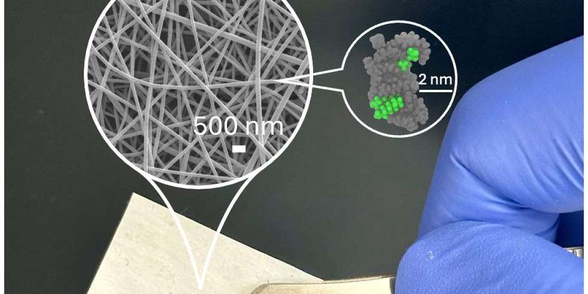 Bio-Based Polymer Revolutionizes ‘Forever Chemical’ Cleanup for Sustainable Water Treatment