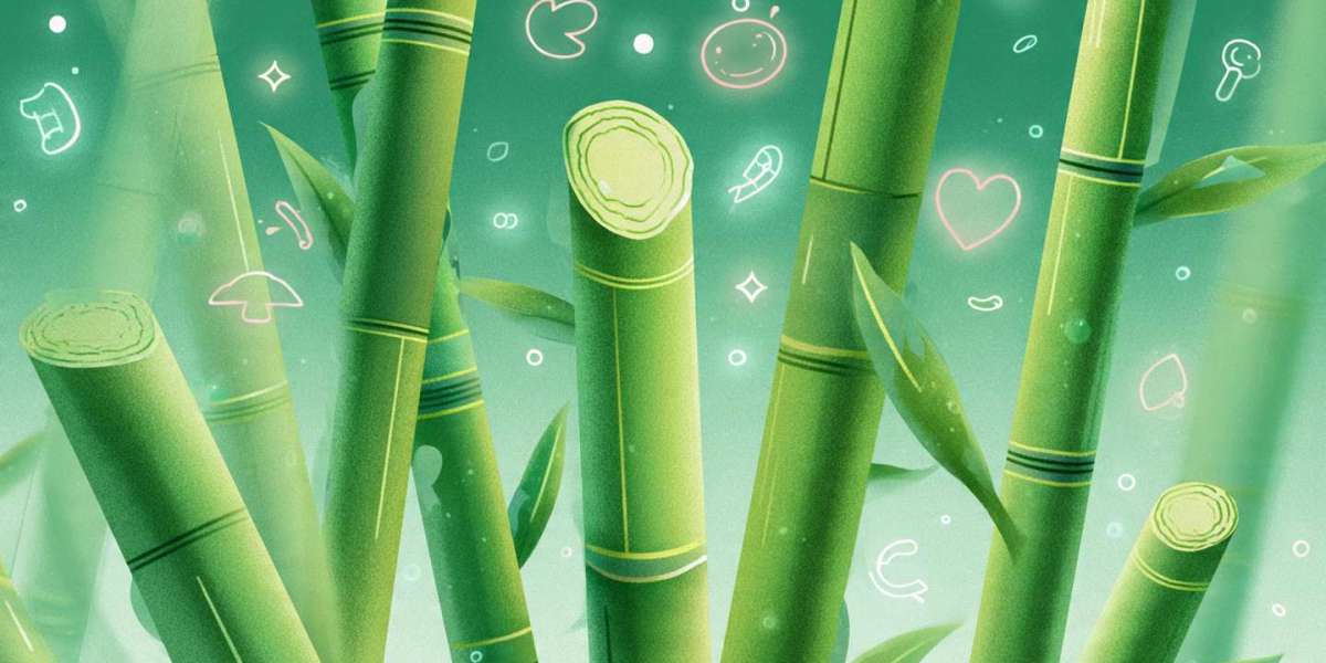 Bamboo Superfood Benefits: Why Bamboo Shoots Are the Next Nutritional Powerhouse