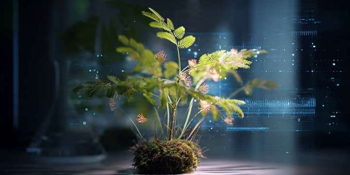 Scientists Discover Plants Can Count: New Study Reveals Hidden Plant Intelligence and Learning Abilities