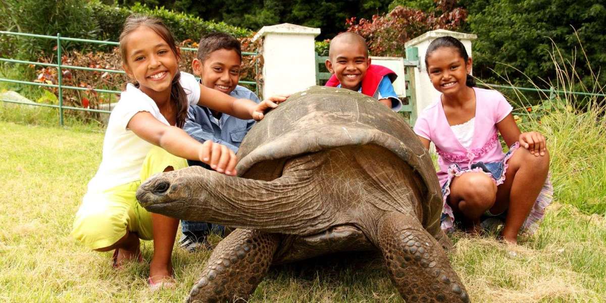 Jonathan the Tortoise: The World’s Oldest Living Land Animal and Icon of Longevity