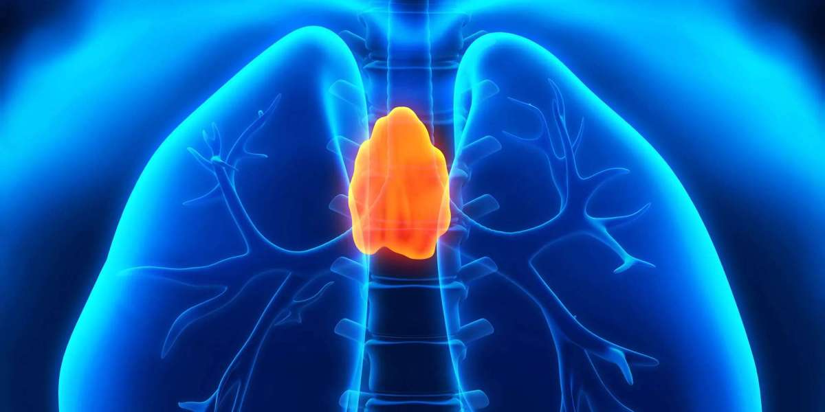 The Thymus: The Overlooked Organ Vital for Longevity, Immunity, and Cancer Response
