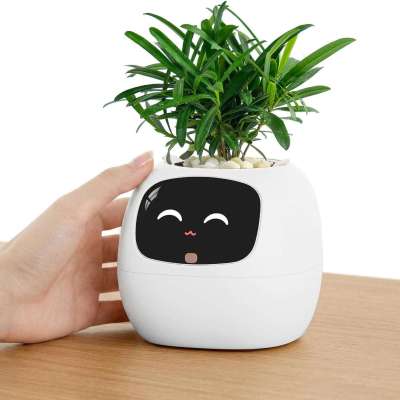 🌱 PLANTSIO Ivy Interactive AI Desk Companion – Smart Plant Pet for Your Workspace Profile Picture