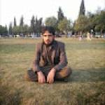 mohammad amin omari Profile Picture