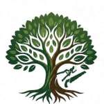 Samayoa Tree Service profile picture